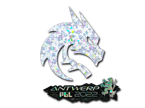 Team Spirit (Glitter) | Antwerp 2022 image